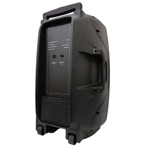 ลำโพงเวทีแบบ Passive ขนาด 15 นิ้ว 100 วัตต์ 4 โอห์ม เสียงระดับมืออาชีพ ผลิตในอิตาลี - Product Image 5