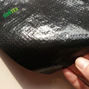Revestimiento Reforzado Impermeable para Estanques y Presas, Tamaño Personalizado, Revestimiento Plástico para <span class=keywords><strong>Piscinas</strong></span> de Piscicultura, Sin Necesidad de Membrana Inferior - Product Image 1