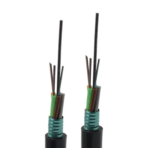 PSP Flexibility GYTS 24 Core 12 Hilos Monomodo Armored Single Mode SM Steel Armored Duct And Aerial Fiber Optic Cable
