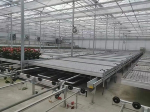 Sistema idroponico automatizzato di flusso e riflusso (flood e Frain) telaio in alluminio banco di rotolamento tavolo verticale Grow Rack sistema - Product Image 6