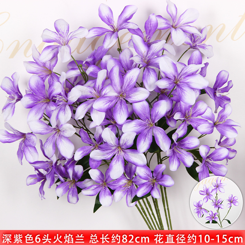 Orchidée flamme à 6 têtes violet foncé