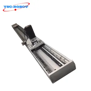 2000mm Heavy Duty Linear Guide Rail Positioning System Gear Rack Pinion Driven Linear Robot Arm