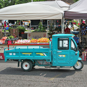 Wanfeng WF1500DZH tricicli elettrici adulti 70-90KM gamma chiusa a 3 ruote camion Cargo bici cabina 800kg + carico utile 30-50 Km/h - Product Image 4