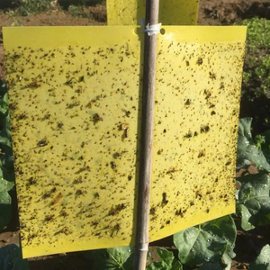 Rắn Nhựa Dùng Một Lần Màu Xanh Vàng Dính Thẻ Hội Đồng Quản Trị 25*40Cm Hai Mặt Keo Bẫy Cho Bay Côn Trùng Sâu Bệnh Kiểm Soát Dịch hại - Product Image 4