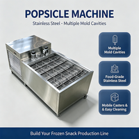 IJslollymachine, industriële machine met hoge efficiëntie voor de productie van ijslollies, met meerdere vormopties