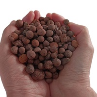 Leca Galets LECA Balls Argile expansée pour plantes de jardin d'intérieur Minéraux et produits non métalliques