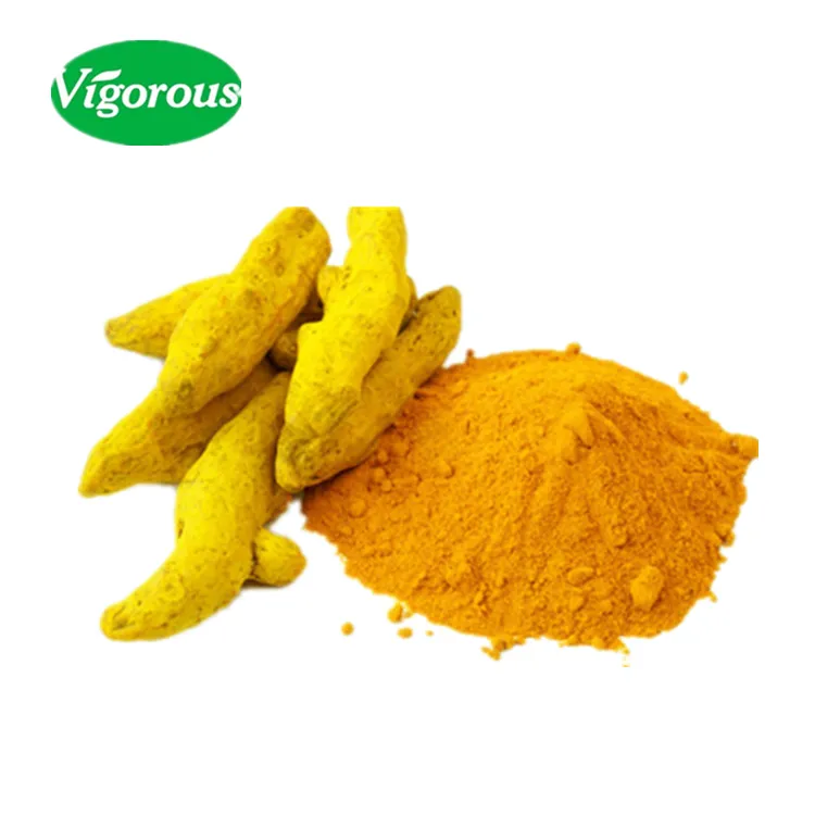 Trung quốc nhà sản xuất Curcuma longa chiết xuất/nghệ chiết xuất từ rễ bột 95% curcumin