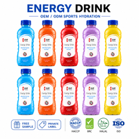 Fabricant de boissons gazeuses et de boissons électrolytiques OEM, série de bouteilles PET à faible teneur en sucre, saveur de fruits personnalisée, marque privée