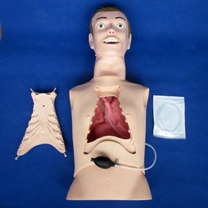 Advanced PVC Half-body <strong>Nursing</strong> Manikin Human Life Size NG Tube and Trachea <strong>Nursing</strong> Care <strong>Trainer</strong> - Product Image 3