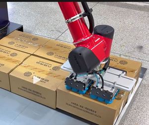 BORUNTE50kg Cooperative Motor Robot, Arm Span 1890mm, Load 50kg, Stacking Station - Product Image 2