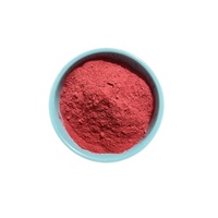 Poudre de jus de betterave rouge pur en poudre d'approvisionnement d'usine Ciyuan