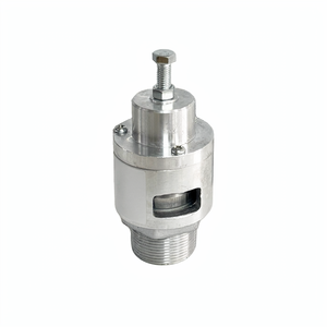 Válvula de Alivio de Acero Inoxidable, Rosca Externa, Resorte Ajustable, 0.2MPa, 200C, Protección de Seguridad Contra Sobrepresión - Product Image 1