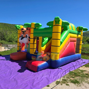 Çocuklar için slayt ve Blower zıplayan kale ile özel şişme oyun parkı şatosu <span class=keywords><strong>Tigger</strong></span> şişme sıçrama ev - Product Image 4