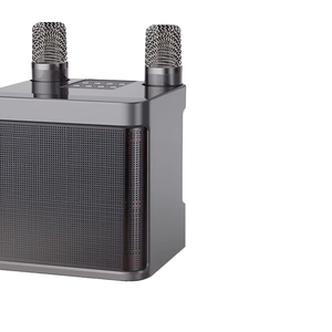 Mini Karaoke Loa YS-203 mic loa với microphone kép Mic Karaoke Set nhà Loa - Product Image 1