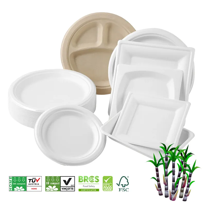 6 7 9 inch Disposable Round Sugarcane Bagasse Pulp Biodegradable Plates