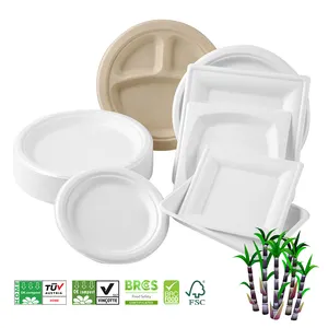 Biodegradable Bagasse Plate 6 7 9 Inch Disposable Round Sugarcane Bagasse Pulp Biodegradable Plates
