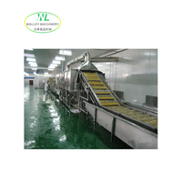 Hoge Kwaliteit Industriële Gebruik Automatische Groenten Fruit Verwerking Lijn Mixer Voedsel Sterilisator Pasteurisator 2mt/Uur Capaciteit Voor