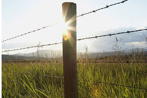 機械を作る有刺鉄線フェンス - Product Image 6