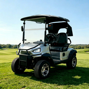 Voiturette de golf 2 places avec pare-chocs avant et cadre de protection en fer, support de sac de golf en option et housse de sac imperméable - Product Image 1