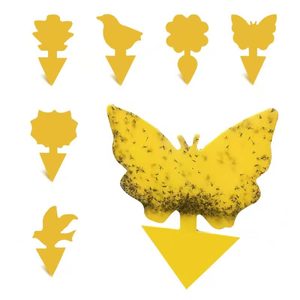 Piège à <span class=keywords><strong>papillons</strong></span> ou d'autres dessins animés, double face, collant, bleu et jaune, design de bande dessinée - Product Image 3