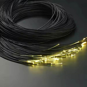 Havuz yıldız tavan ışık için <span class=keywords><strong>CGL</strong></span> serisi MMA yan Fiberwith siyah/şeffaf ceket - Product Image 3