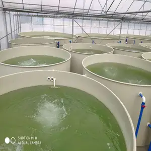 Factory Custom Ras Aquaculture Tilapia Growing System Fish Shrimp Farm Pisciculture Equipment Drum filtration system