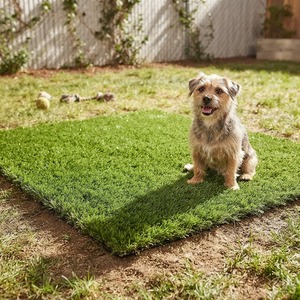 <span class=keywords><strong>Gazon</strong></span> artificiel pour animaux de compagnie 30 mm, tapis <span class=keywords><strong>synthétique</strong></span> souple sans remplissage 2 m <span class=keywords><strong>x</strong></span> 25 m pour jardin et balcon - Product Image 2