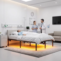 Großhandel: Eisen-Doppelbett mit RGB-Beleuchtung zur Miete – 2-Meter-Eisenbett für Hotel, Krankenhaus, Apartment, Suite, Schule, Hauptschlafzimmer