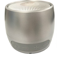 Altavoz Inalámbrico para Subwoofer con Carcasa Metálica y hasta 5W de Potencia de Salida