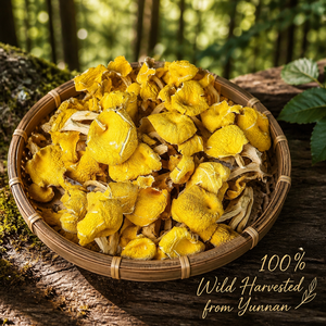 Chanterelles séchées jaunes de qualité supérieure |   Chanterelles déshydratées de qualité supérieure |   Yunnan sauvage biologique |   Vente en gros d'usine - Product Image 2