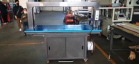 Machine d'emballage automatique en carton ondulé avec moteur Delta PLC pour l'emballage en PP