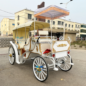 Carruaje de caballos para bodas y turismo Carruaje de caballos eléctrico de 4 ruedas - Product Image 3