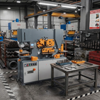 Machines hydrauliques robustes pour le travail des métaux, équipements de poinçonnage et de découpe de tôles, solutions pour le travail des métaux
