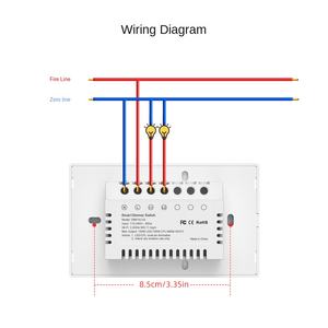 Interruptor Inteligente con Regulador de Intensidad, 1 o 2 Canales, Estándar Estadounidense, Control Inalámbrico, Corriente Máxima de 10 A, Aplicación EWeLink, Panel Táctil para PC, IP27 - Product Image 5