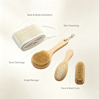 Lot de 4 brosses de bain en bois naturel, ensemble de brosses de bain tendance avec poils de sanglier, peigne à coussin d'air, ceinture exfoliante en sisal, kit de douche écologique pour spa