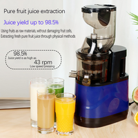 200W Elektrische Fruitpers 300ml 6 Bladen RVS Koudpers Sapcentrifuge Slow Juicer voor Camper Buitenreizen
