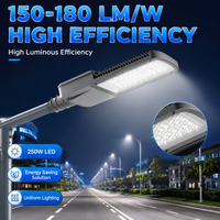 Luminaire LED de 250W pour éclairage public avec plusieurs distributions de faisceaux, IP66, pour larges allées et grandes surfaces extérieures