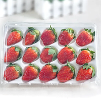 Emballage blister transparent en plastique avec boule de chocolat pour gâteau alimentaire personnalisé avec 20 trous boîte transparente à la fraise et à la truffe