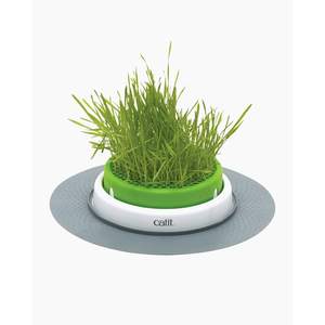 Maceta Catit Senses Grass con Recipiente Profundo y Orificios de Drenaje para Gatos de Interior - Product Image 1