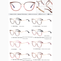 MS 82185 2024 Nouvelles femmes TR90 + Monture de lunettes œil de chat en métal Lunettes optiques anti-lumière bleue Design de mode coloré Logo personnalisé