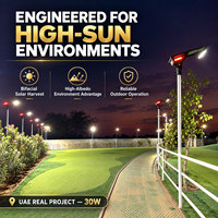 Lampadaire solaire bifacial à haute efficacité, batterie au phosphate de fer lithium écologique, lampe à double LED extérieure sur poteau