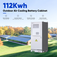 DAH OEM 특가 판매 215kWh 1255mm A급 LFP 셀 야외용 ESS -20~55C 범위 LiFePO4 공랭식 캐비닛