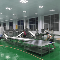 3 Ton/uur PLC-motor bevroren vruchten- en groenteproductielijn, hoogwaardige voedselveilige roestvrijstalen industriële bevroren apparatuur