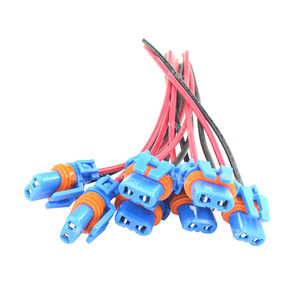 2-polige Buchse Wasserdichter Auto-Kabelbaum stecker DJ9066 - Product Image 1