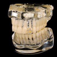 Grillz Hip Hop Rapper Creux en Zircon Complet, Style Punk, Plaqué Or, Décoration Dentaire Unisexe, Bijou Corporel