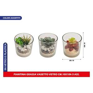 Vaso in Vetro Rotondo 10x10cm per Piante da Ufficio e Accessori Decorativi - Product Image 1