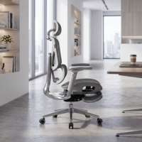 Chaise de bureau ergonomique haut de gamme avec logo personnalisé, fournisseur OEM ODM pour les acheteurs de bureaux en Australie