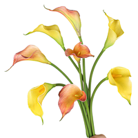 Fait à la main petit toucher réaliste artificiel Calla Lily doux EVA tige unique mariage décor à la maison pour Thanksgiving saint valentin