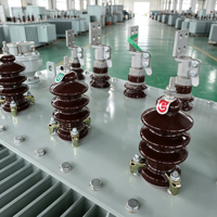 Transformateur de distribution immergé dans l'huile triphasé S13-M 30 kVA 100 kVA 250 kVA 50/60 Hz pour équipements électriques et électroniques