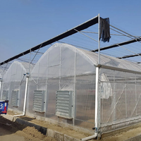 Serre tunnel multi-voûtes en plastique pour l'élevage commercial de volailles et d'escargots, kit d'agriculture protégée